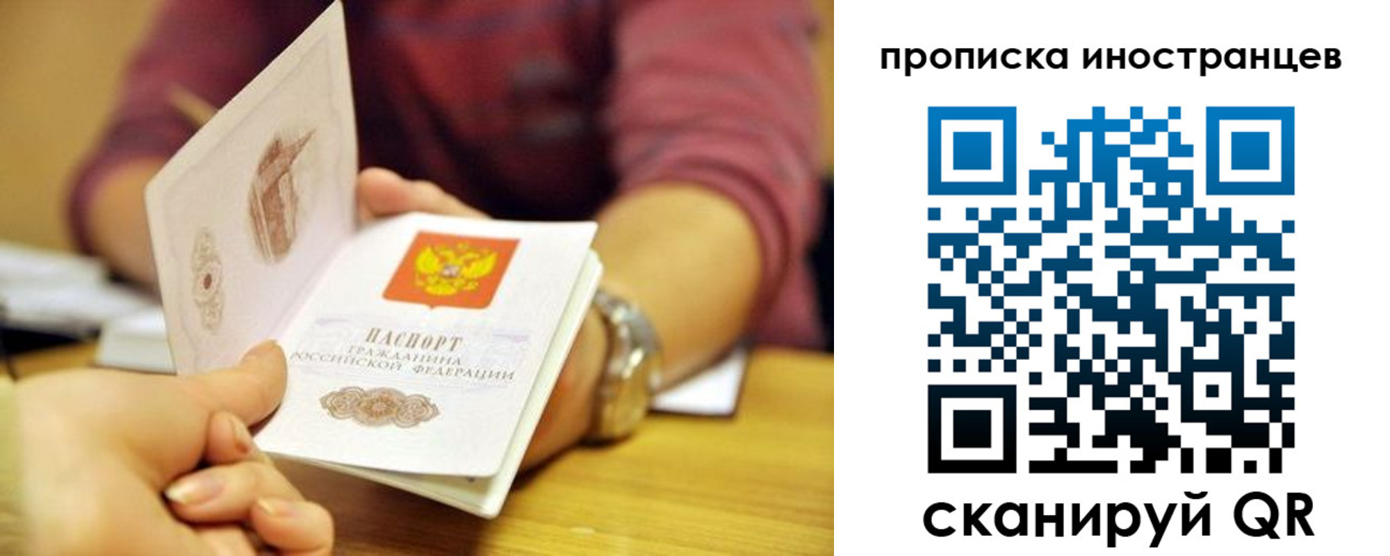 прописка для школы в Светлогорске